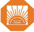 Council Constitution cover